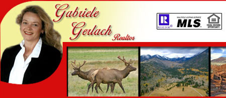 Flagstaff Realtor