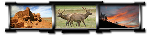 Flagstaff web sites