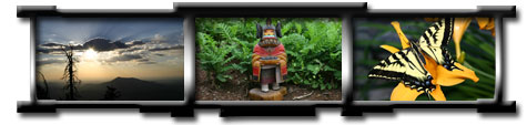 Flagstaff website design